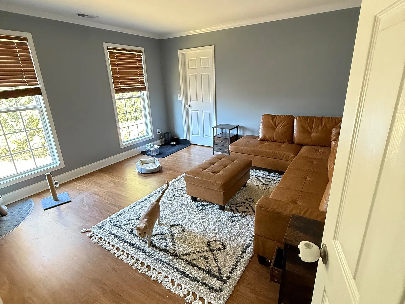 Mossy View Dr, Douglasville — Photo 3