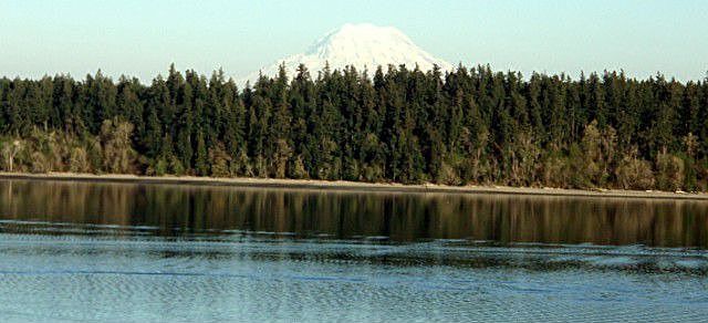 This is not a postcard.  This is one of the views from this property! 