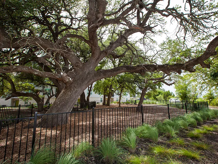 Trailside Oaks Townhomes — Photo 154