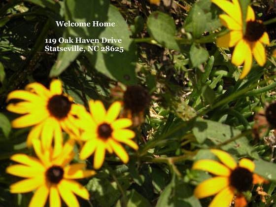 1st image of 119 Oak Haven Dr