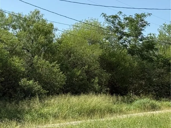 (undisclosed Address), Ben Bolt, TX 78342