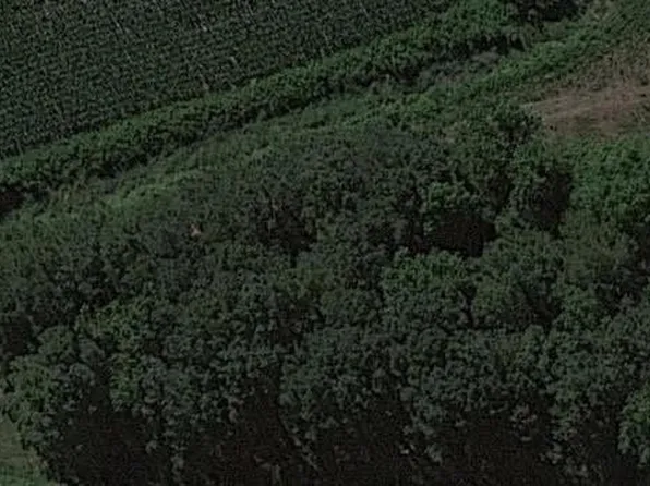 19266 County Seat Hwy, Georgetown, DE 19947