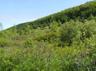 0 Countryman Rd, Voorheesville, NY 12186