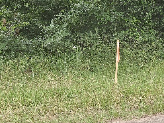 5th image of County Road 409