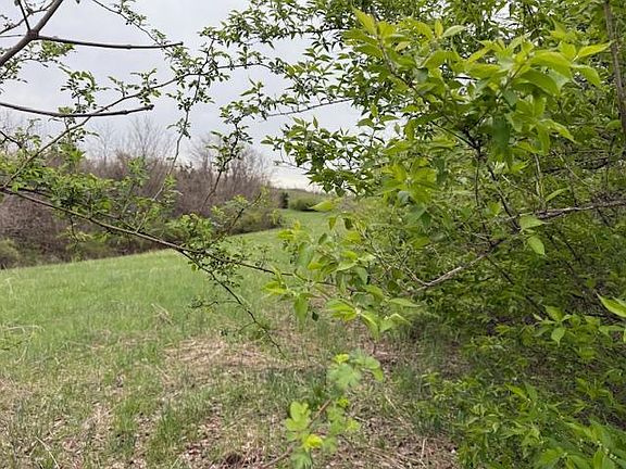 5th image of 0 Jones Ln
