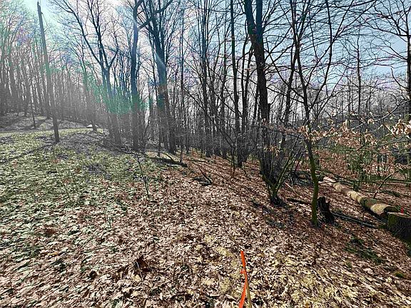 5th image of LOT 9 Fern Ct