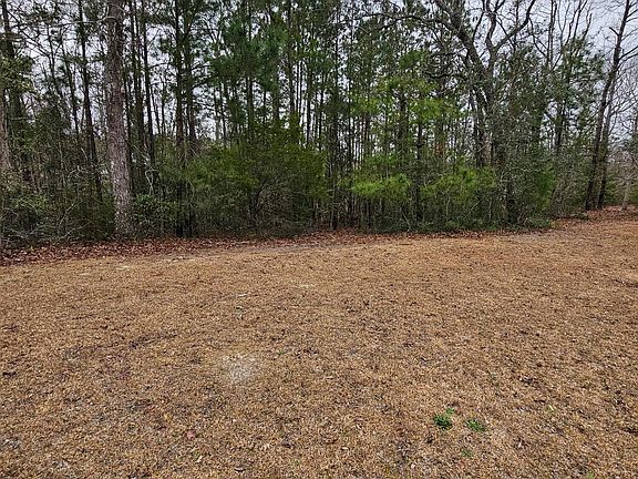 3rd image of 1131 Natal Drive SE