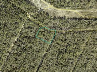 George Avenue Lot #761, Hastings, FL 32145