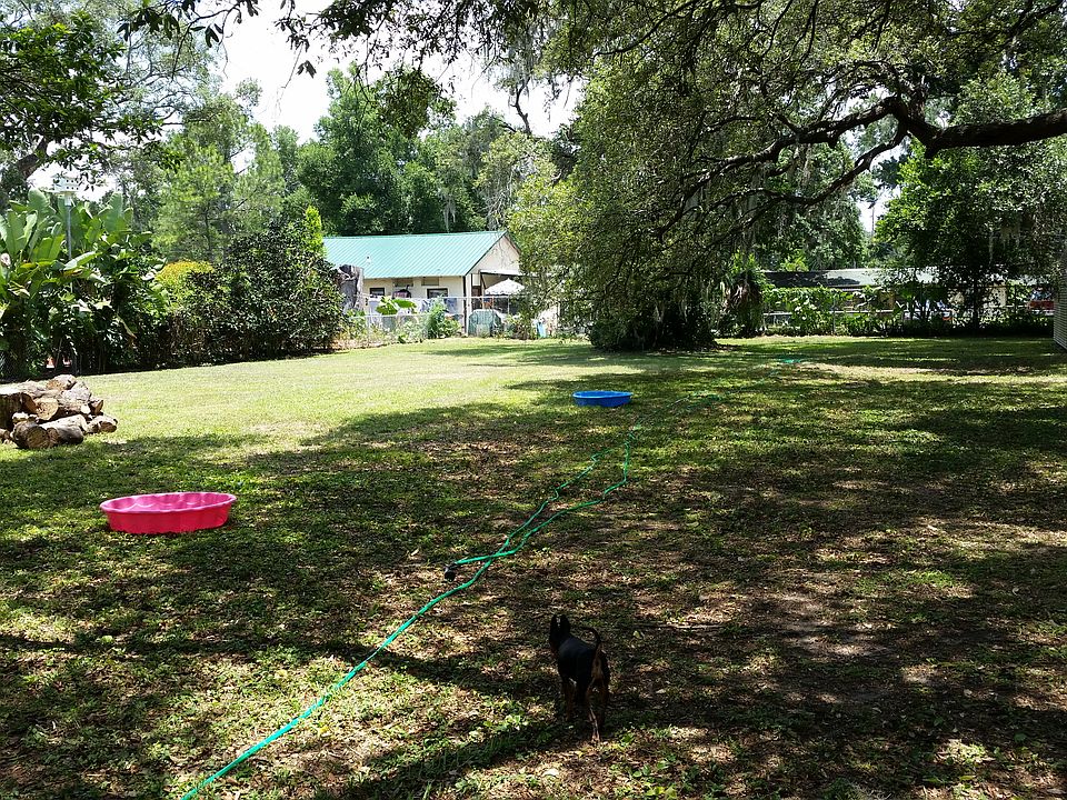 .6 Acre Yard