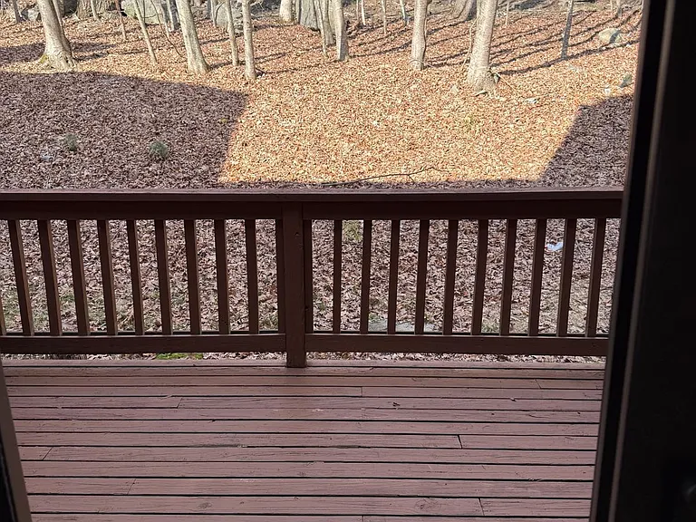 223 Sterling Ct — Photo 23