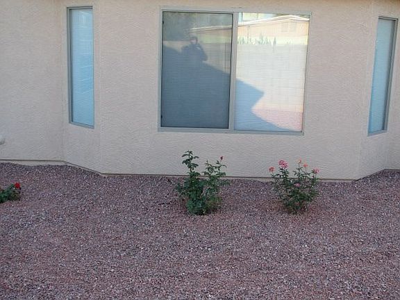 Bay Window & Rose Bushes