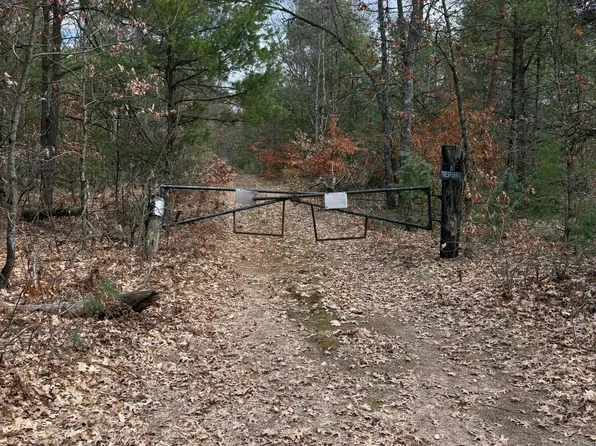 0 E Skeels Rd, Holton, MI 49425