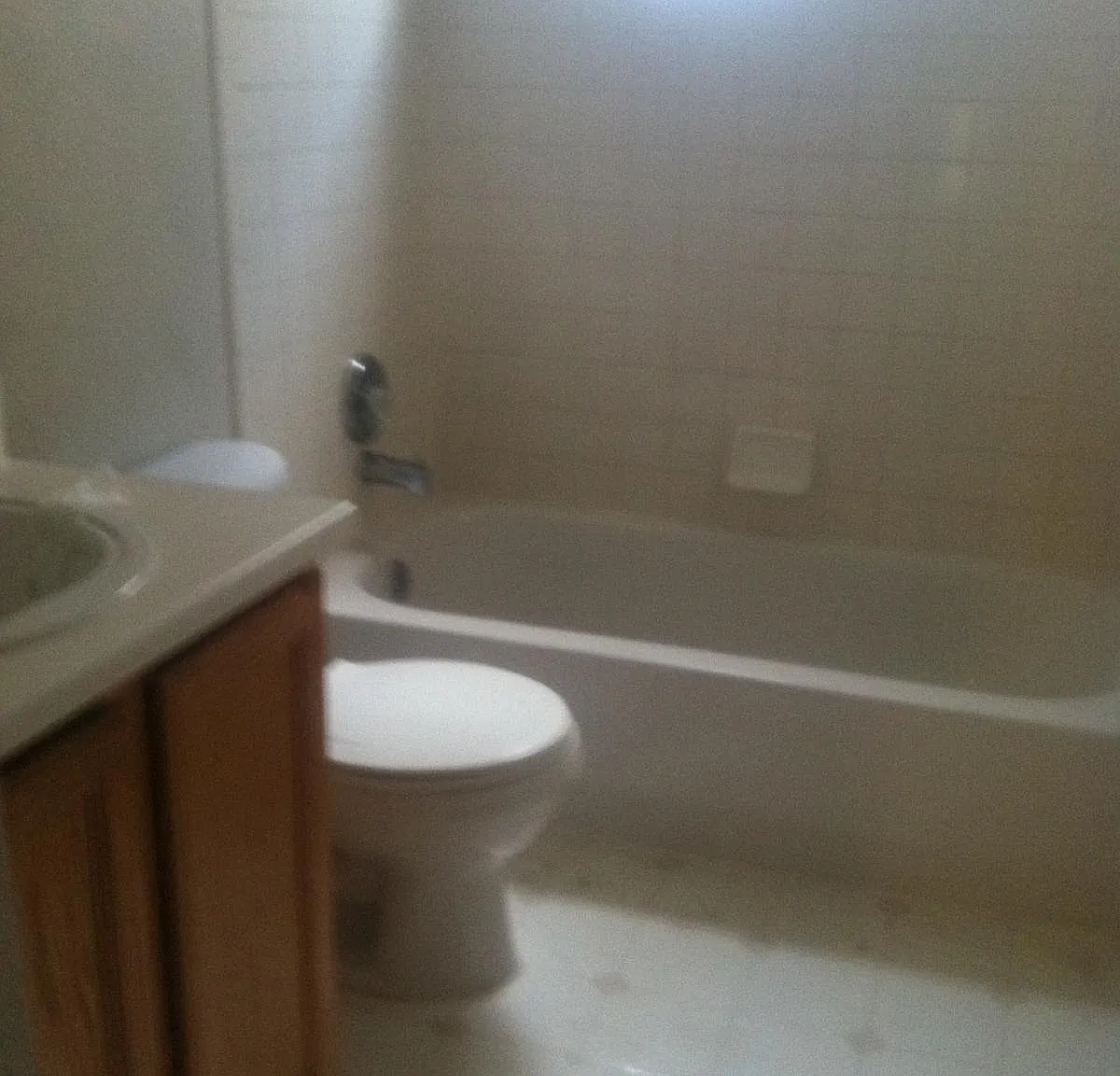 3 bed, 1500 sqft, $2,550 — Photo 3