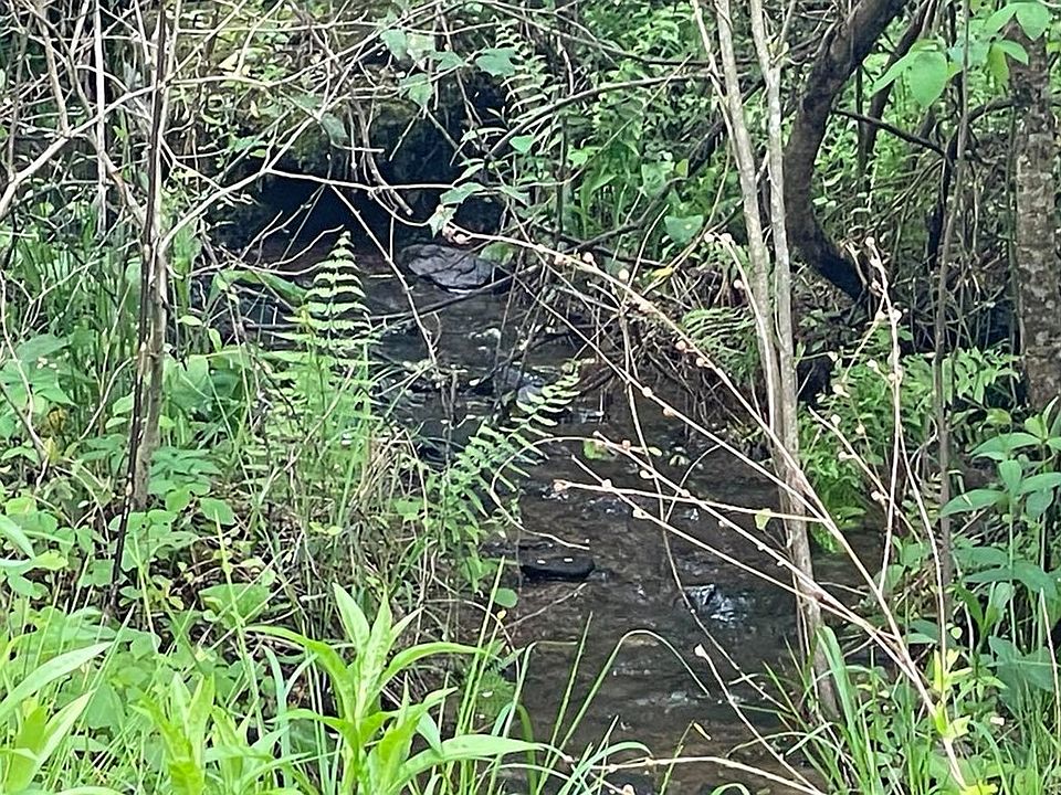 2nd image of 0 Sitton Creek Rd