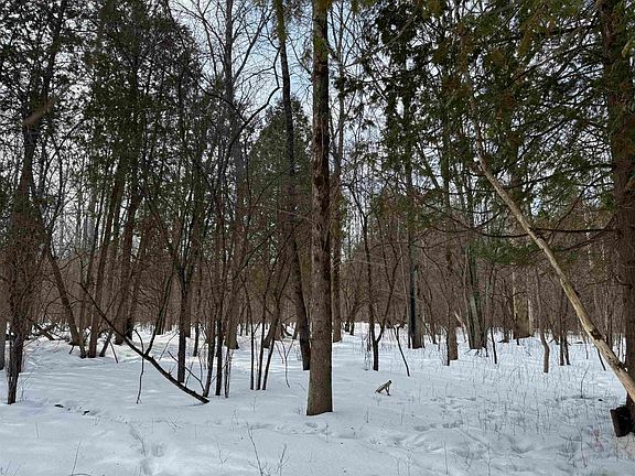 5th image of 0 Hardscrabble Rd