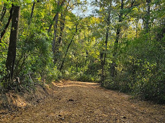 5th image of Highway 35