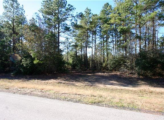 3rd image of 21204 Big Buck Dr