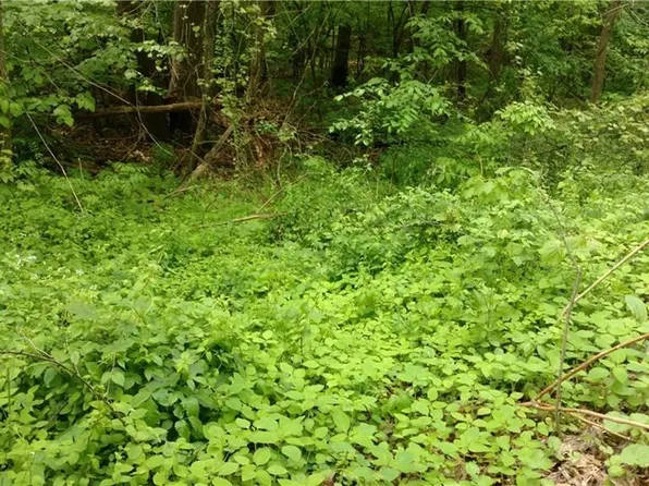 2739 S Hubbard Rd, Lowellville, OH 44436