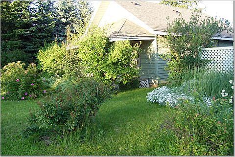 View from corner, summer