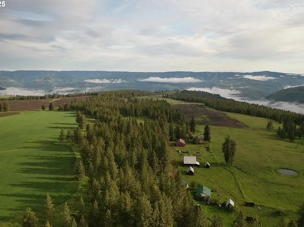 85388 Buford Rd, Enterprise, OR 97828