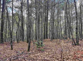 LOT 1 N Mize Rd, Clarkesville, GA 30523