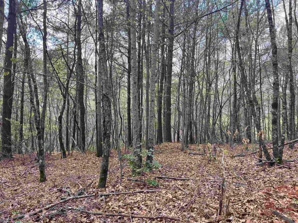 LOT 1 N Mize Rd, Clarkesville, GA 30523