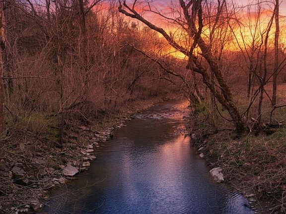 2nd image of 1205 Turner Rd