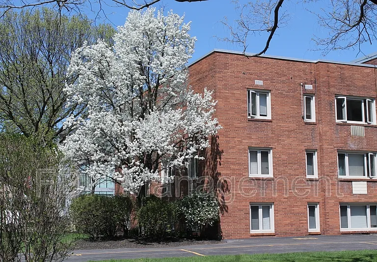 610 East Ave #4 — Photo 13