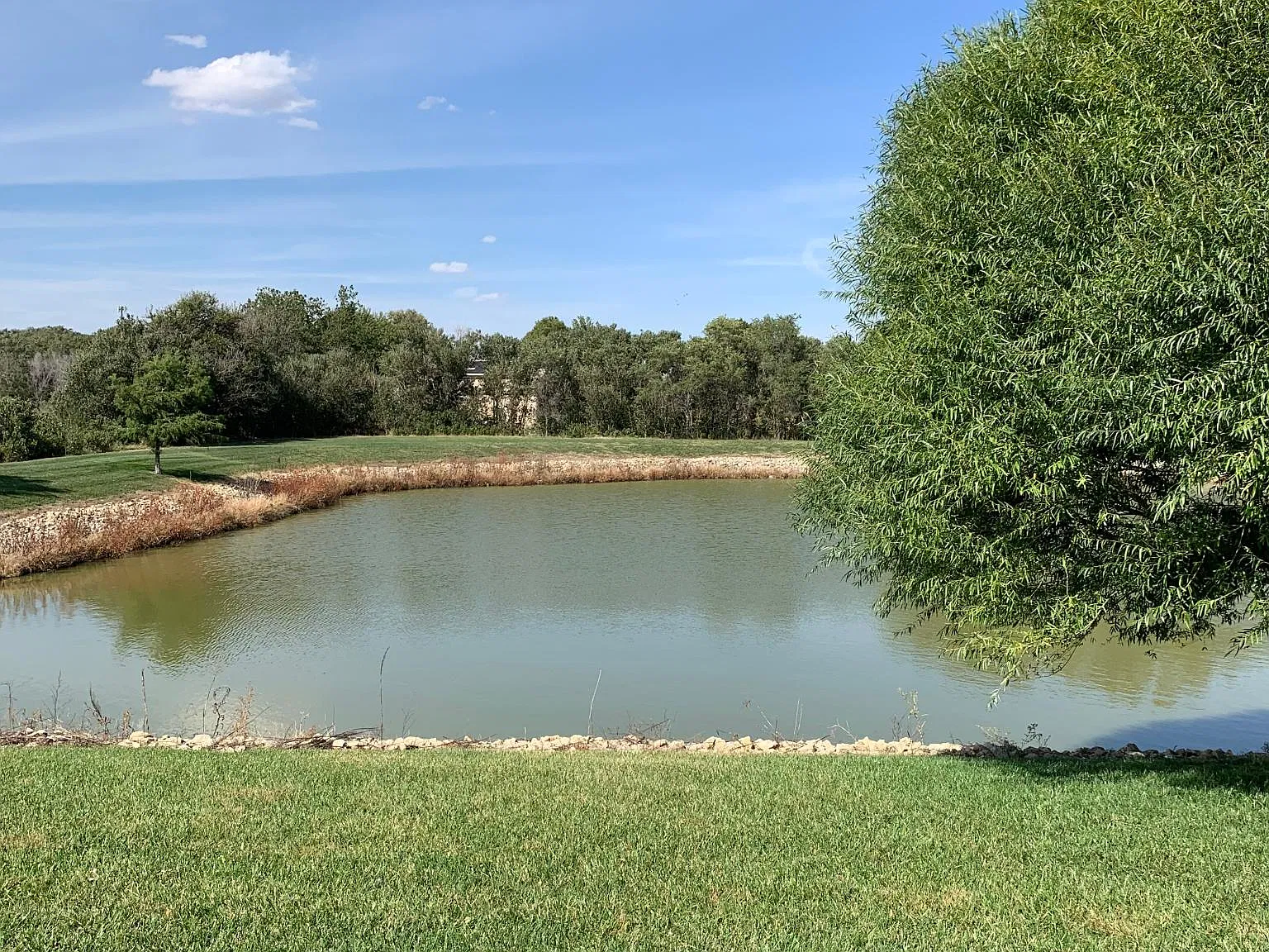 5 bed, 2200 sqft, $2,195 — Photo 4