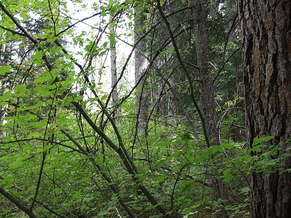 4th image of Nna Beaver Valley Rd