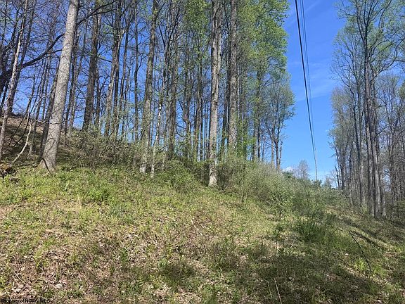 3rd image of 1 White Rd