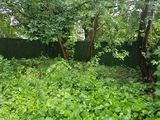 Rented by Tapiro Realty | media 11