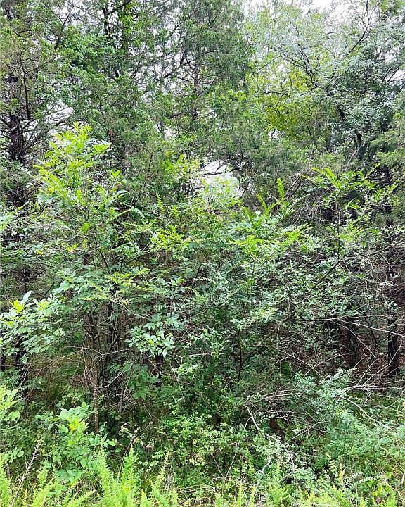 1st image of Cedar Ln #60
