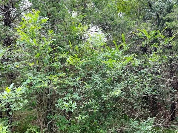 Cedar Ln #60, Lead Hill, AR 72644