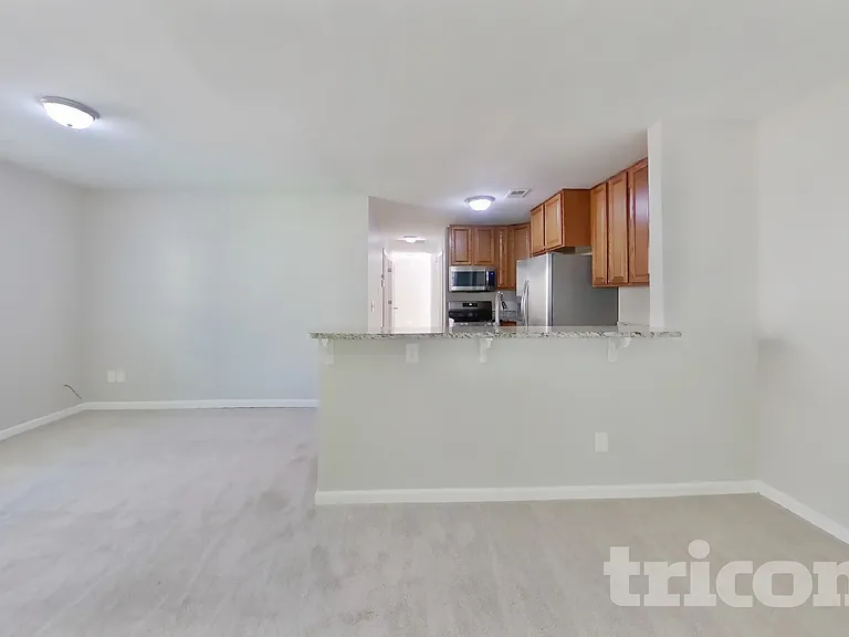 1041 Rabon Pond Dr — Photo 3