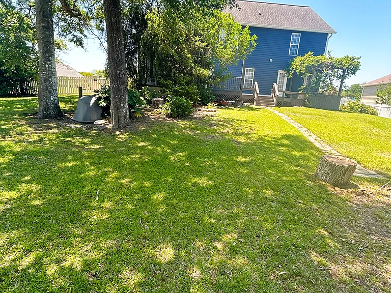 Back Yard
