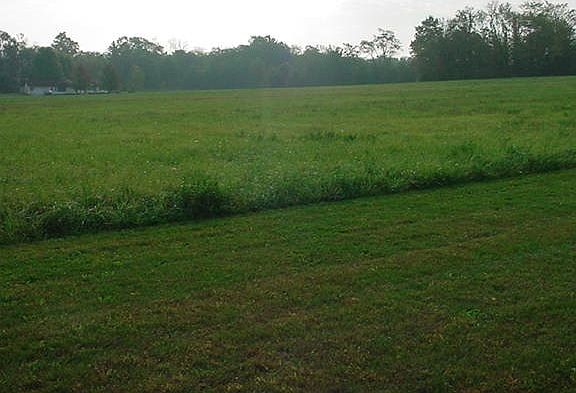 2nd image of 28754 County Road 26