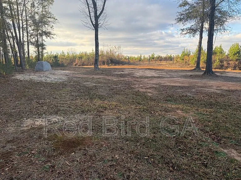 2944 Jones Chapel Rd — Photo 21