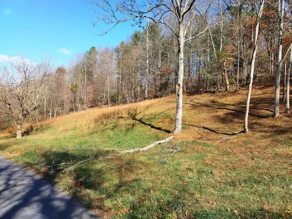 1462 Julia Simpkins Rd, Hiwassee, VA 24347