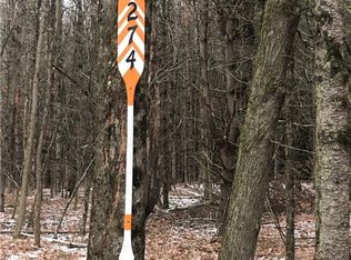 274 Bob Wilson Rd #16, Milford, NY 13807