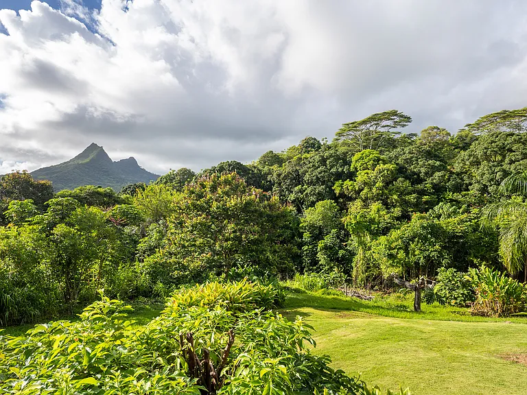 gorgeous views of mountains and 1 acre property