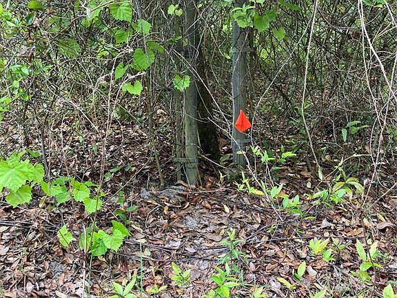 5th image of TBD Lot 58 SE 1ST LANE LOT 58