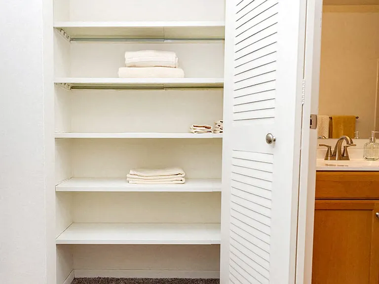 Convenient Towel Closet