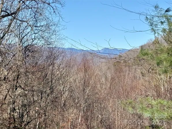 165 Widgeon Way #61, Whittier, NC 28789