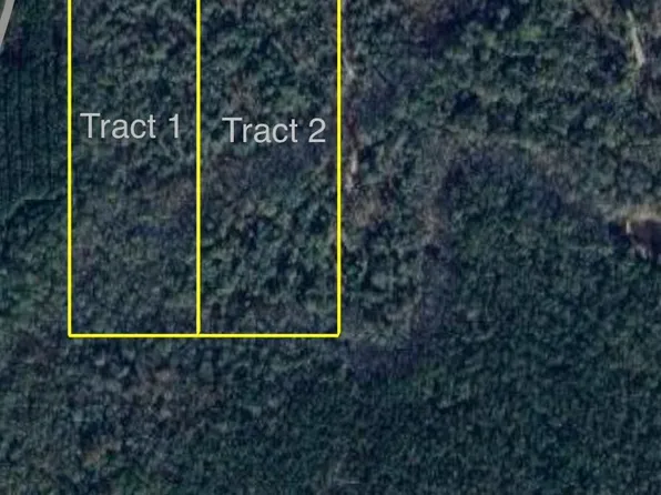 0 County Road 883 Tract 2, Vidor, TX 77662