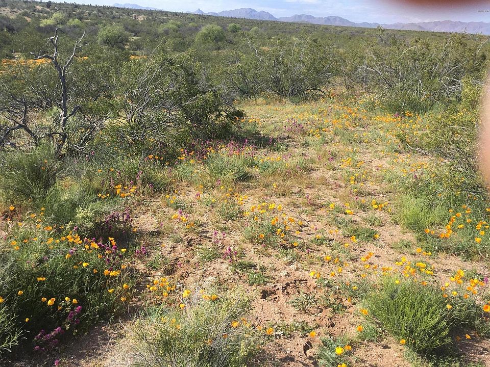1st image of 21950 W EL GRANDE Trail #6