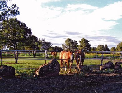 9663 N Stagecoach Dr, Williams, AZ, 86046