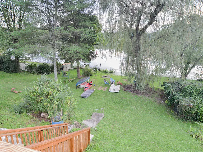 The backyard