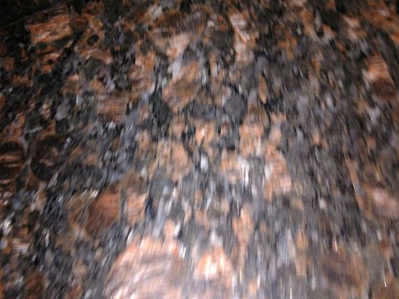 3rd image of 617 Potomac Ave