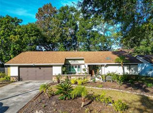 3024 Ripplewood Dr, Seffner, FL 33584